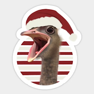 Cheerful Festive Ostrich With Santa Hat Sticker